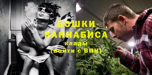 хмурый Карпинск