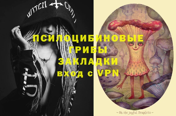 сатива Карталы