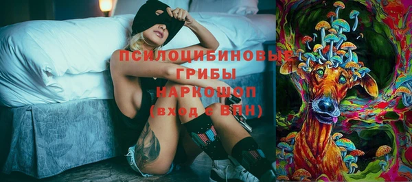 хмурый Карпинск