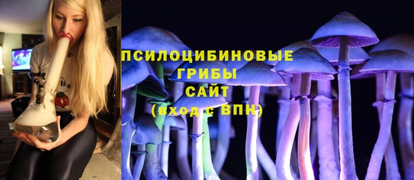сатива Карталы